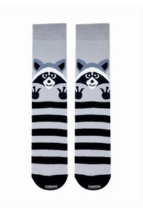 صورة المنتج ذات الصلة CARNAVAL SOCKS جوارب