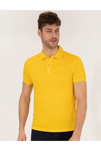 Related product image Pierre Cardin Polo T-Shirts