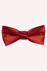 Related product image Panço Bow Ties