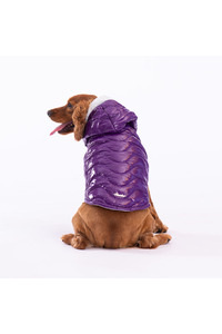 Related product image Pawstar Dog Clothes