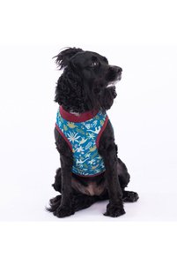 Related product image Pawstar Dog Clothes