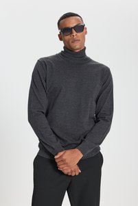 Related product image Altınyıldız Classics Sweaters
