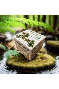 Related product image Dehre Lokman Body Lotions & Creams
