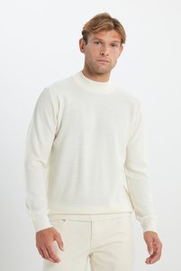 Related product image Altınyıldız Classics Sweaters