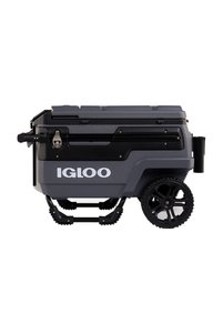 صورة المنتج ذات الصلة Igloo مبردات محمولة