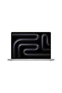 Apple 16