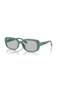 Related product image Ray-Ban Sunglasses