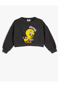 Related product image Koton Sweatshirts