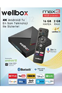 wellbox MAX 3 4K Android TV Box Free İP DEsteği Wifi Ethernet İle