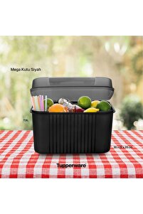 Related product image Tupperware Storage Containers