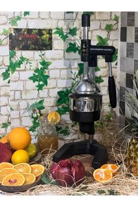 Related product image Kale Termos Fruit & Vegetable Juicers