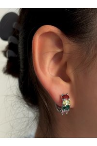 Related product image Ressia Steel Earrings
