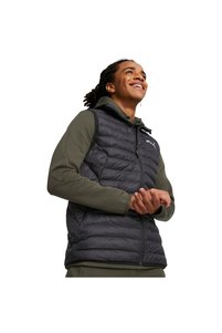 Imaginea produsului asociat Puma Veste