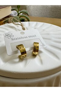 Related product image Store Steel Earrings