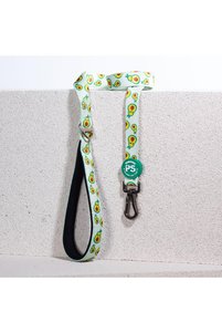 Related product image Pawstar Dog Collars