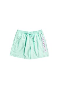 Related product image Quiksilver Swim Shorts