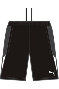 Related product image Puma Shorts