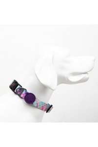 Related product image Tailpetz Dog Collars