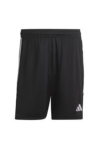 Related product image adidas Shorts