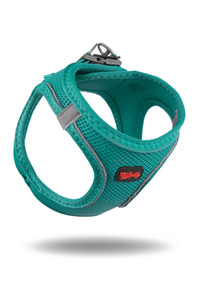Related product image Tailpetz Dog Collars