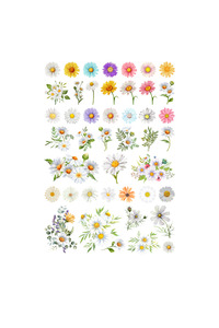 Related product image Ororabutik Stickers