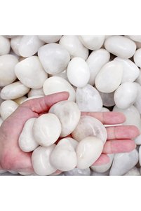 صورة المنتج ذات الصلة Generic منتجات زينة