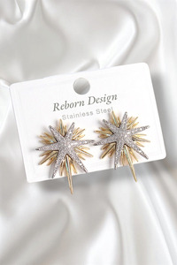 Related product image Clariss Steel Earrings