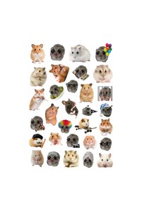 Related product image Ororabutik Stickers