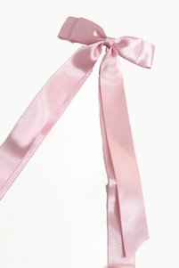 Related product image New Obsessions Hair Clips
