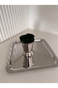 Related product image dekorasyon garajı Tray