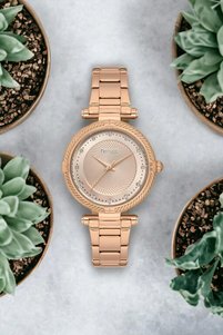 Related product image Ferrucci Watches