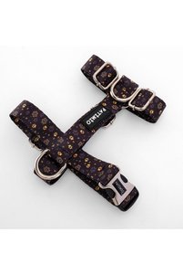 Related product image PATİMİO Dog Collars