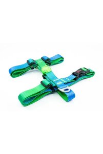 Related product image Tailpetz Dog Collars