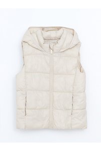 Related product image LC Waikiki Vests