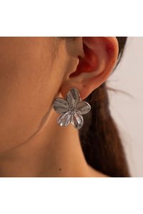 Related product image Demokan Steel Earrings