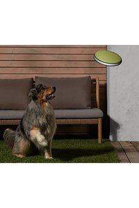Related product image Tchibo Dog Toys