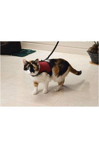 Related product image Beeztees Cat Collars