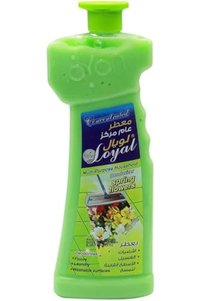 Related product image Loyal Surface Cleaner