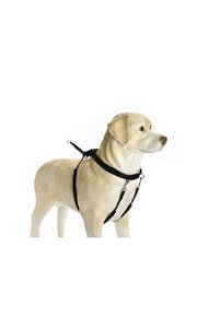 Related product image Beeztees Dog Collars