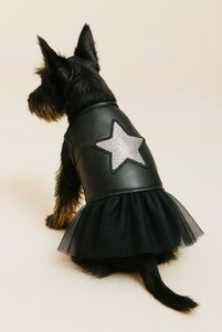 Related product image DOGİ&DOG Dog Clothes