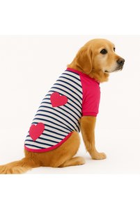 Related product image DOGİ&DOG Dog Clothes