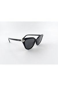 Related product image Swarovski Sunglasses