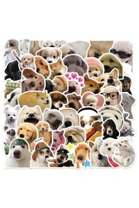 Related product image Choice Stickers