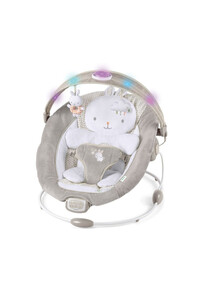 Related product image Ingenuity Baby Bouncer