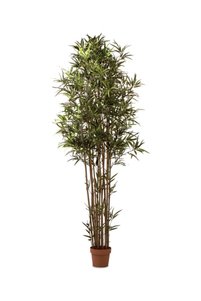 Related product image Dongli Artificial Flowers