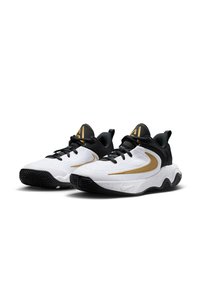 صورة المنتج ذات الصلة Nike أحذية كرة سلة