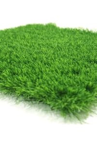 Related product image Generic Hobby Garden