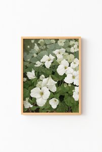 Related product image epiqart Paintings