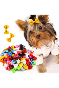Related product image Choice Dog Accessories