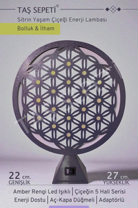 Related product image TAŞ SEPETİ Desk Lamp